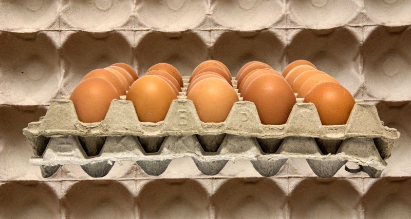 Cómo se fabrican los cartones de huevo Industriales