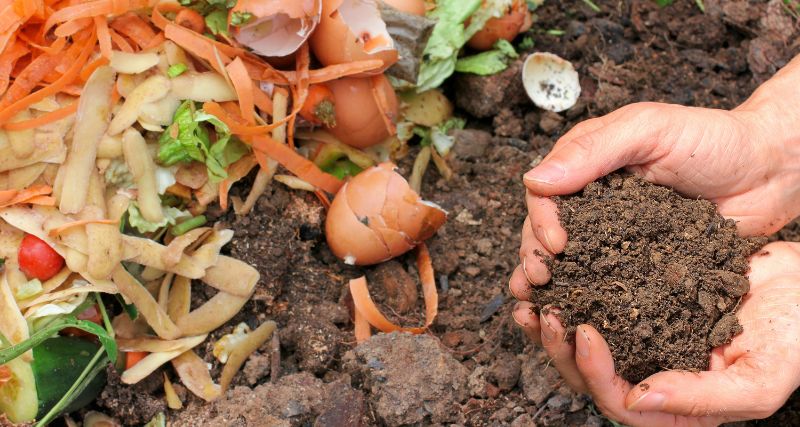 ¿Cómo se fabrica el Compost? Un proceso paso a paso