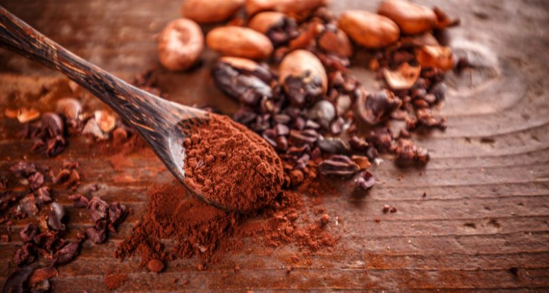 Proceso Industrial de Elaboración de Cacao