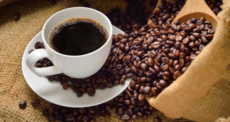 Proceso de producción del café: de la semilla a la taza