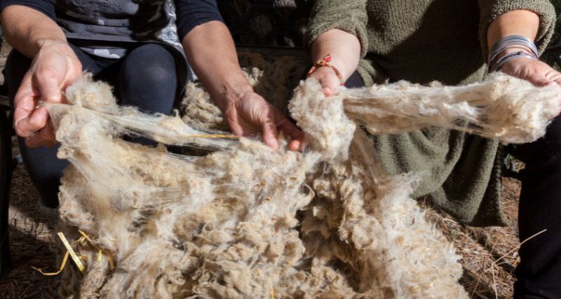 Cómo se hace la lana de oveja: Proceso completo