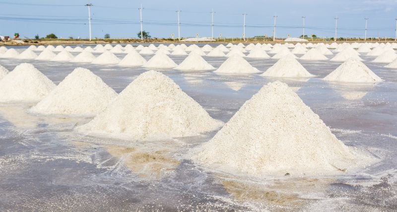 Proceso de fabricación de la Sal: Paso a Paso