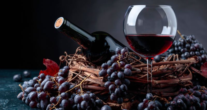 Proceso de elaboración del vino tinto: de la uva a tu copa